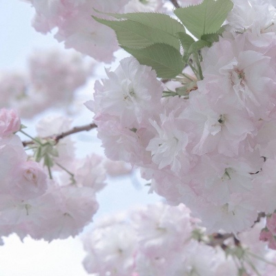 石首FurryQQ群介绍